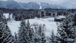 Hotel Elexus Apartments cazare Poiana Brasov