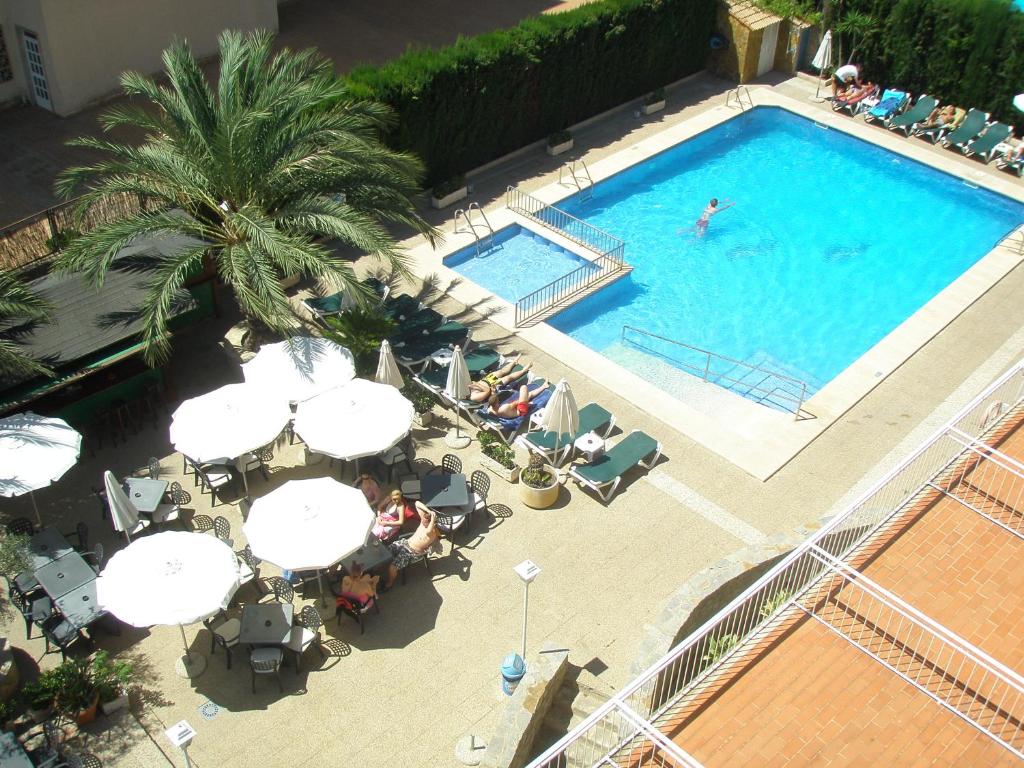 dal travel Don Miguel Playa Hotel