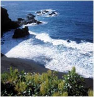 Borinquen