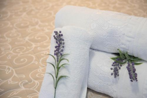 Hotel Eleana Studios