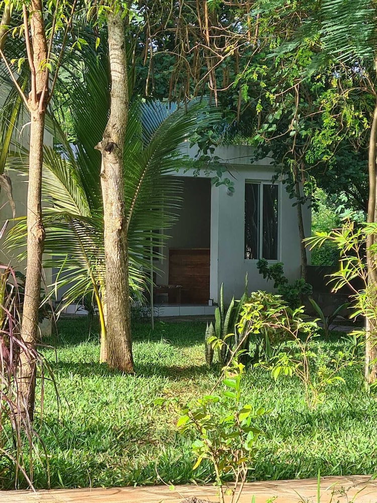 Silent Palms