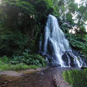 Sejur Pérola Achadense Guesthouse vacanta Insulele Azore