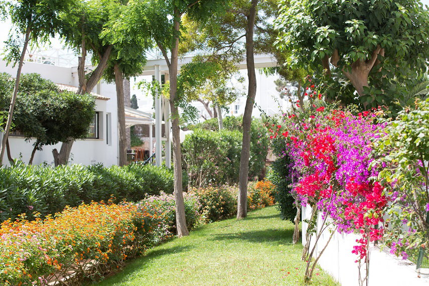 dal travel Gavimar Cala Gran Costa Del Sur Hotel & Resort