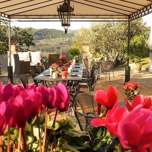 Hotel B&B Le Dimore Di Mezza Costa - Home Restaurant & Cooking Classes cazare San Casciano in Val di Pesa