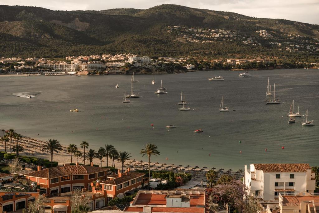 dal travel Cooks Club Calvia Beach - Adults Only +21