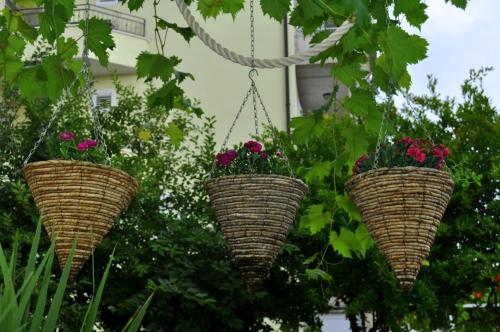 Hotel Apartments Ivica