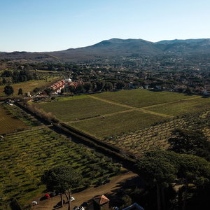 Hotel Villa Cavalletti cazare Grottaferrata