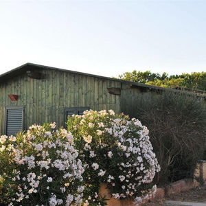 Sejur Torre Del Porticciolo Villaggio vacanta Alghero