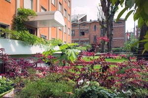 Hotel Eco Hotel Milano & Bioriso Restaurant cazare Bresso