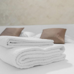 Hotel Welcome Foresteria Lombarda cazare Guastalla