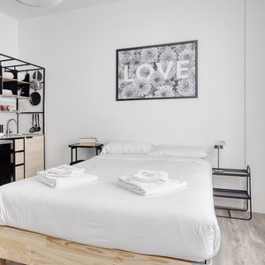 Hotel Joivy Elegant Double Studios Near Subway Station cazare Bresso