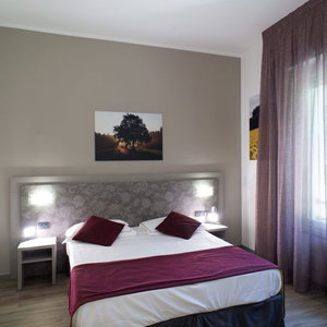 Hotel Hotel Salus Milano cazare Bresso
