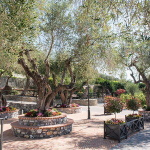 Hotel Villaggio Edy cazare Diano Marina