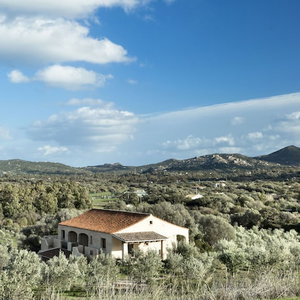 Hotel Cascioni Eco Retreat - Suites With Private Pool cazare Arzachena