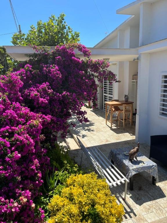 Hotel Il Platano Di Nathaly