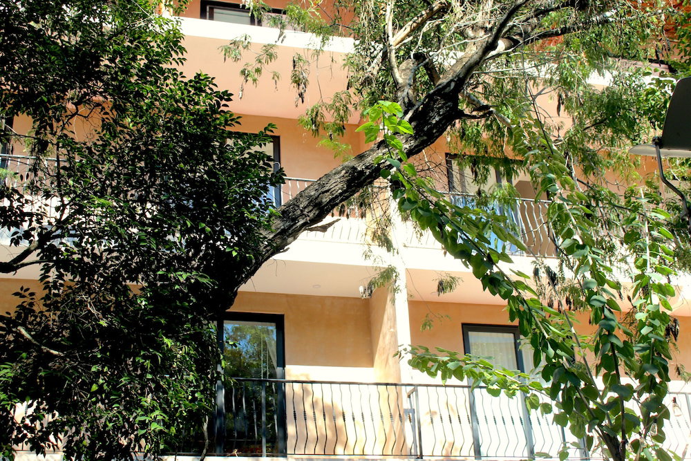 Hotel Calea Tulum