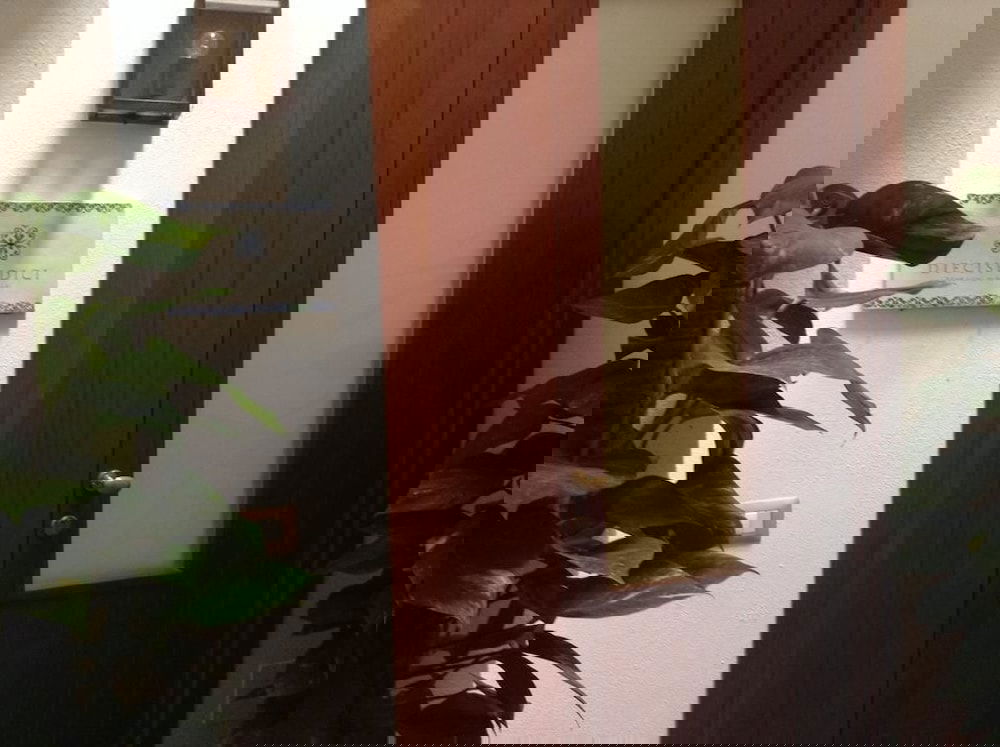 Hotel Bed & Breakfast Diecisedici