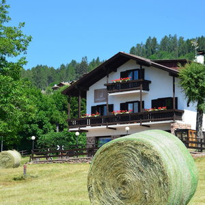 Hotel Hotel Garni Edy cazare Daiano