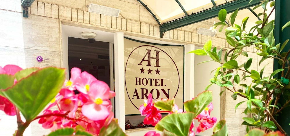 Hotel Hotel Aron Rimini