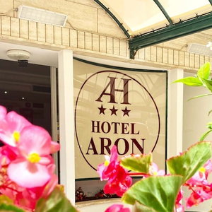 Hotel Hotel Aron Rimini cazare Santa Giustina