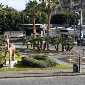 Hotel Gymnasium cazare Santa Lucia