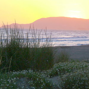 Hotel Appartamento Malibu Vicino Alla Spiaggia cazare Marina di Grosseto