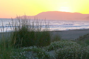 Hotel Appartamento Malibu Vicino Alla Spiaggia cazare Marina di Grosseto