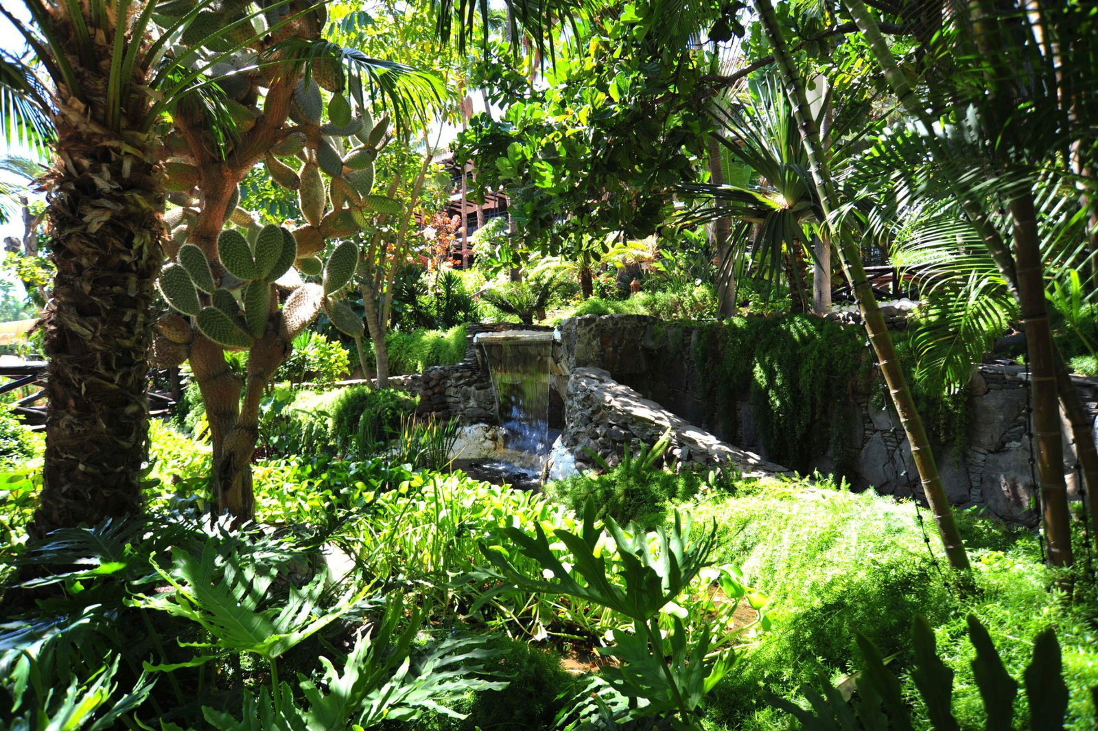 Hotel Hotel Parque Tropical