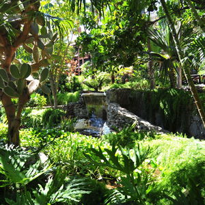 Hotel Hotel Parque Tropical cazare Playa del Ingles