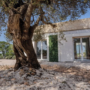 Hotel Villa Tra Gli Ulivi - Ostuni cazare Ostuni