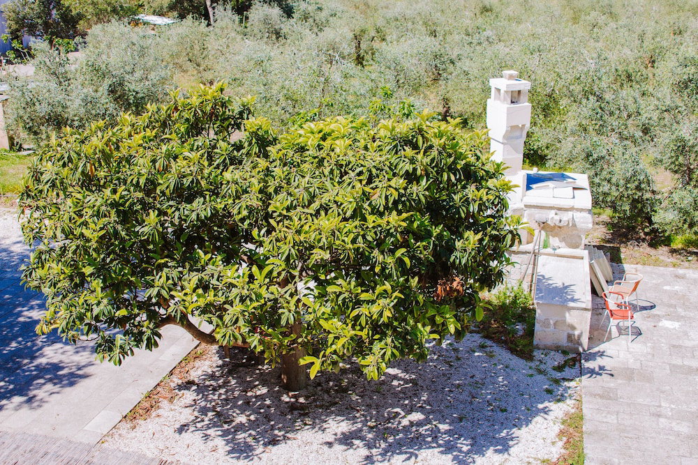 Hotel Agriturismo Biologico Piccapane