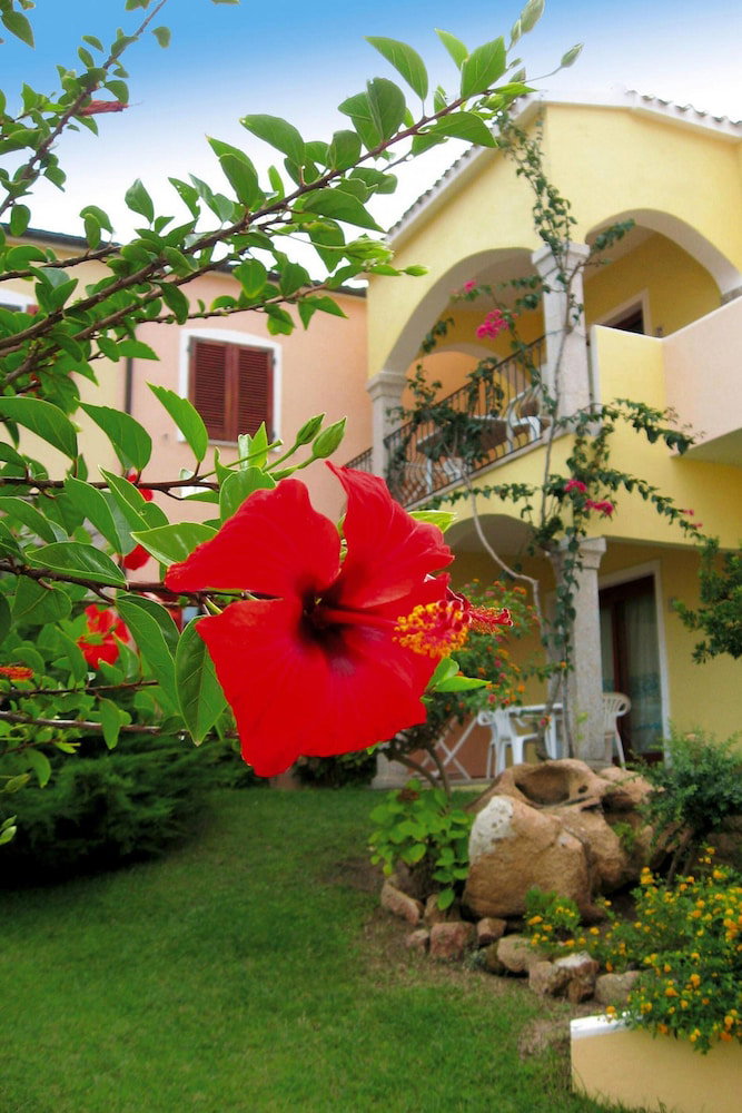 Hotel Apartment In Badus With Communal Pool