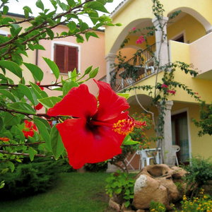 Hotel Apartment In Badus With Communal Pool cazare Badesi