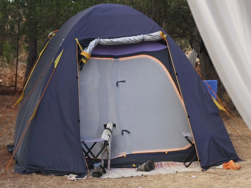 Camping Ciauli