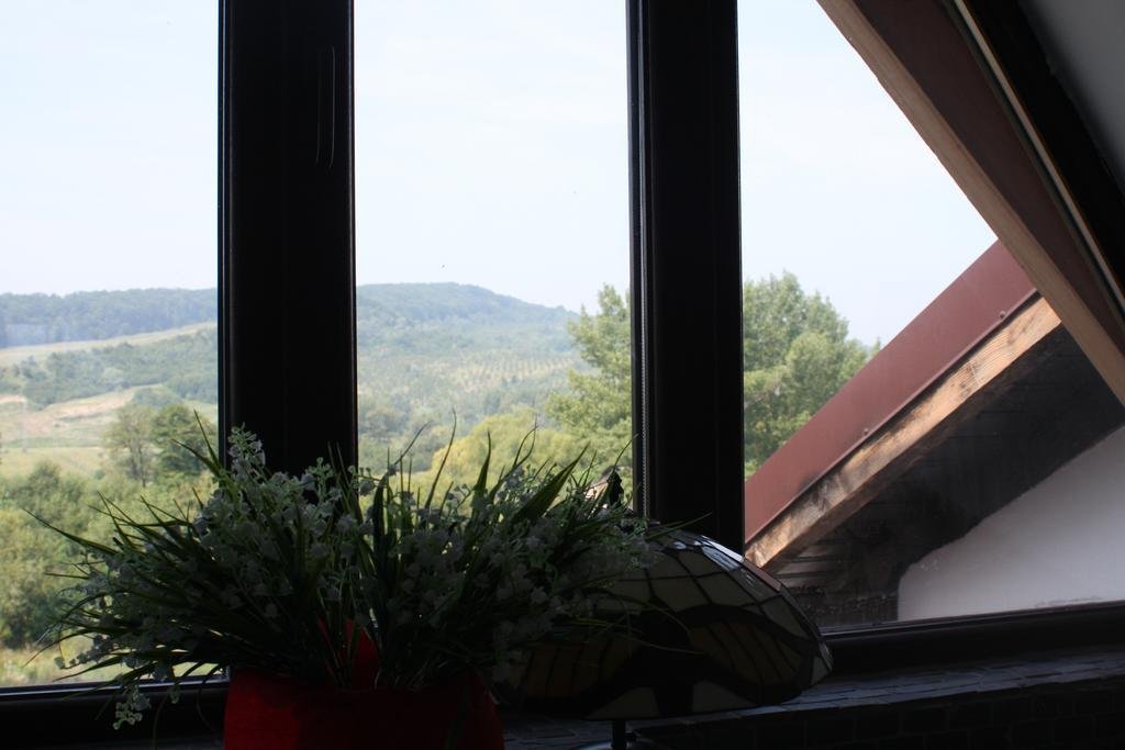 Hotel Pensiunea Clasic