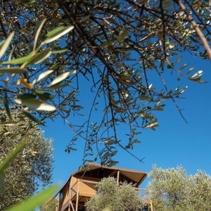 Hotel Glamping Podere San Jacopo cazare Massa Marittima