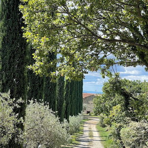 Hotel Agriturismo Melodie Toscane cazare Solano Inferiore
