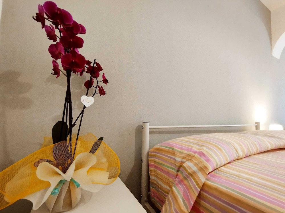 Hotel Summer Room