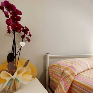 Hotel Summer Room cazare La Caletta