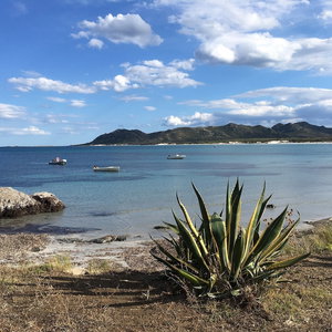 Hotel Cavalli Di S'arcaite cazare Siniscola
