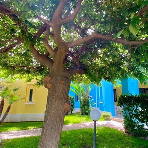 Hotel Villaggio Porticello Mare cazare Vieste