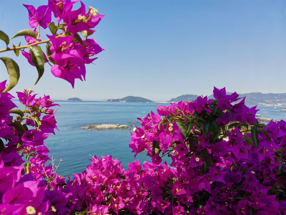Hotel Stella Di Mare