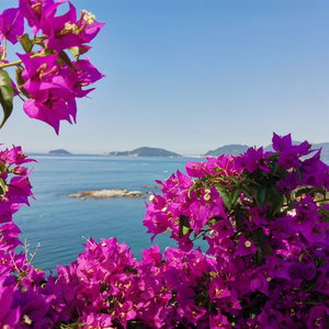 Hotel Stella Di Mare cazare Lerici