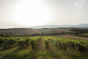 Hotel Agriturismo Cappellese cazare Rosignano Marittimo