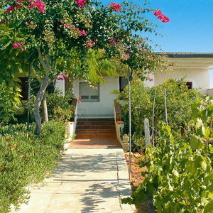 Hotel Apartment In Sicily Near La Pineta Beach cazare Castelvetrano