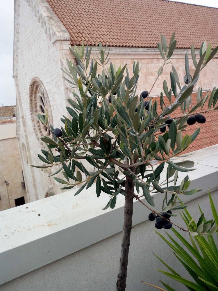 Hotel B&B Il Nido Delle Rondini