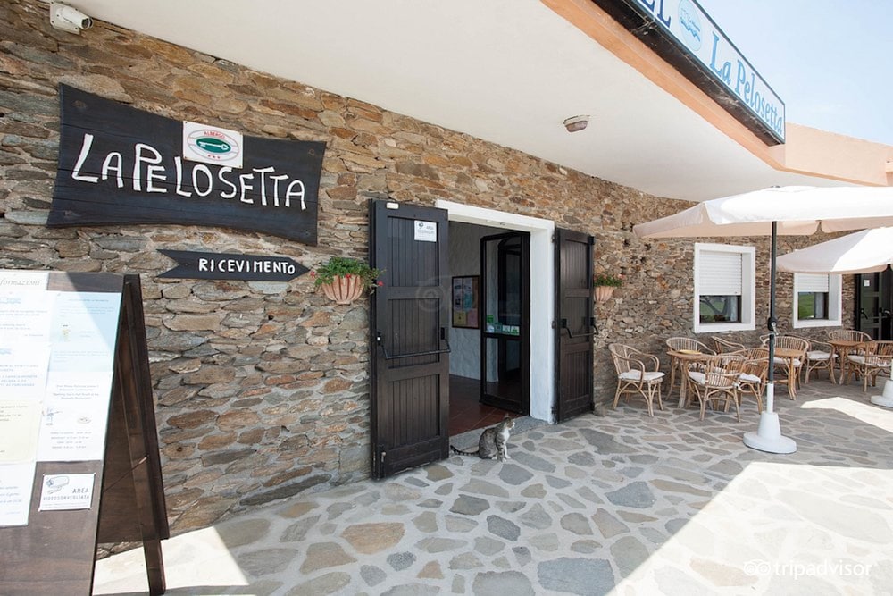 Hotel Hotel In Stintino 50 Mt From The Sea