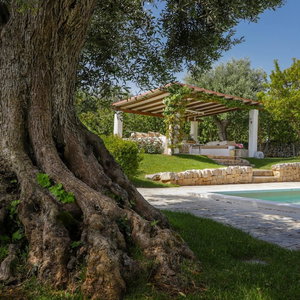 Hotel Td Dimora Di Genna Trulletto With Lush Garden Pool cazare Castellana