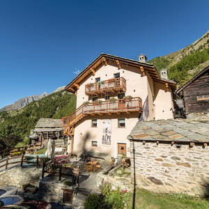 Hotel Alpe Rebelle cazare Bionaz