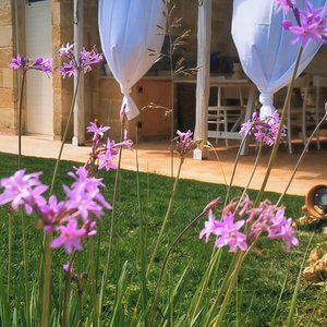 Hotel Torre Vecchia Relais cazare Ugento
